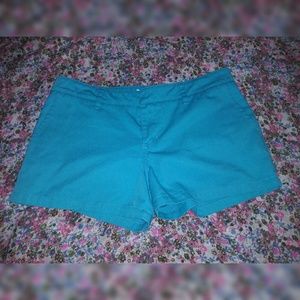 EUC Hurley Teal Shorts